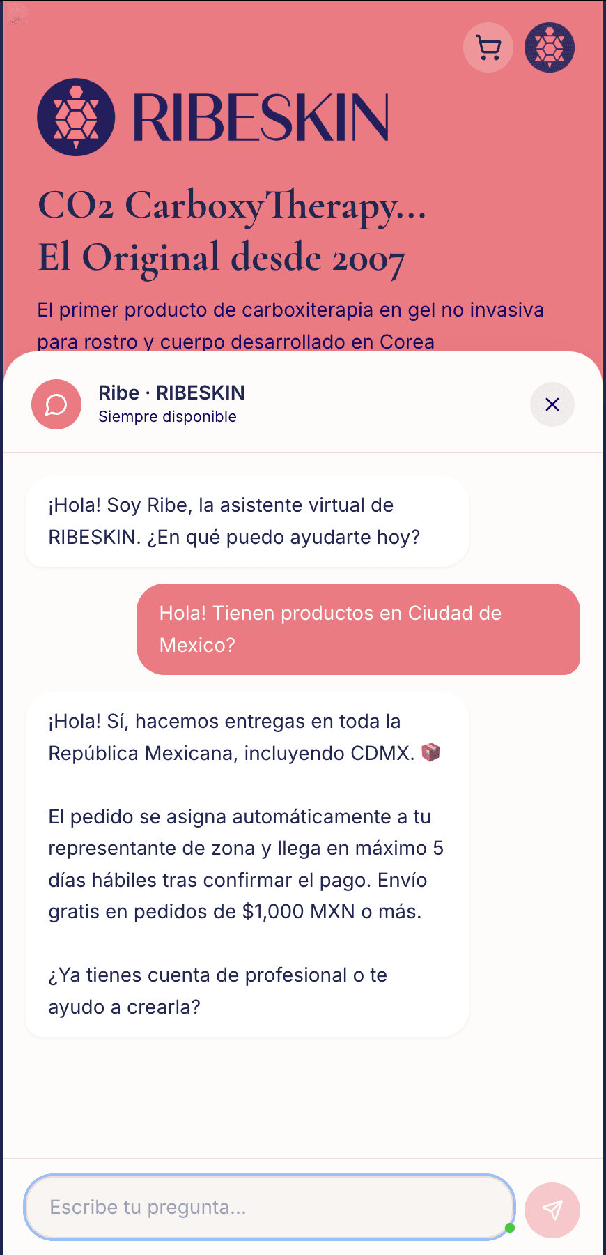 Ribeskin storefront chatbot